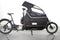 Douze Cycles V2 800 Traveller