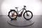 Haibike TREKKING 10