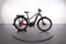 Haibike TREKKING 9
