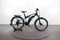 Raymon CrossRay FS E 4.0