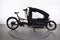 Riese & Müller Load4 75 Touring