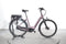 Batavus Finez E-go 8 Gang