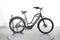 Woodee Bikes Coastliner Swan