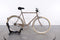 Gazelle Van Stael V7