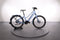 Batavus Razer E-Go Exclusive