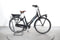 Gazelle Miss Grace C7 HMB