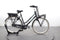 Gazelle Miss Grace C7+