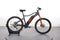 Prophete Rex Graveler e9.8 E-MTB