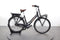Gazelle MISS GRACE C7+ HMB