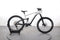 Bergamont E-Trailster Expert