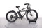 Bad Bike Beach Fat