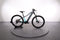 Trek Powerfly+ 4