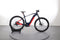 Advanced E-Bike Offroad Pro X