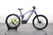 Haibike ALLMTN CF 11