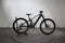 Orbea Wild H30