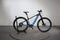 Mondraker Prime 29