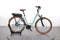 Riese & Müller Swing Vario