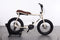 Ruff Cycles Lil Buddy Go Brown