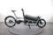 Riese & Müller Load 60 vario