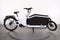 Cube Cargo Dual Hybrid 1000