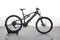 Raymon Raymon FullRay 130E 4.0 - 500 Wh - 29 Zoll - Fully