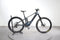 Orbea Wild H10