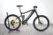 Haibike AllTrail 6