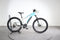 Orbea Wild HT 30
