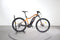 BH E-Motion