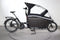 Urban Arrow Familiy Performance Plus