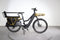 Riese & Müller Multicharger2 Mixte GT Family