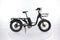 B2eBike City Cargo