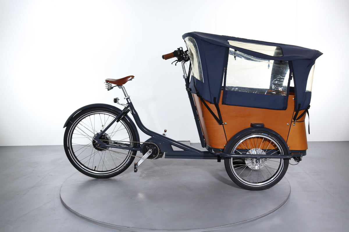 Babboe Curve Mountain E-Bike gebraucht