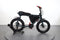 Ruff Cycles Lil Buddy
