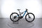 Specialized Levo FSR ST