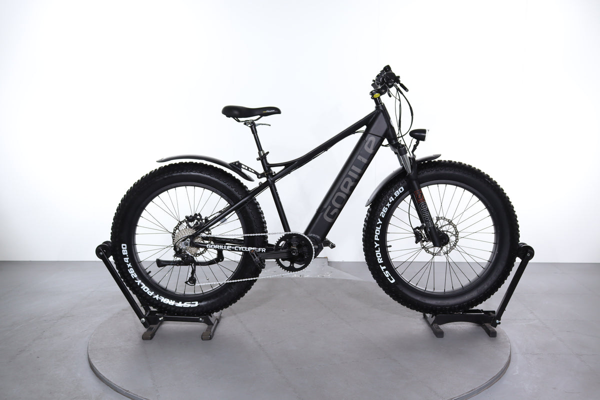 Gorille Athlete MTB Fatbike E-Bike generalüberholt