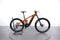 Giant Reign E+3 MX Pro