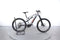 Lapierre Overvolt AM 5.5