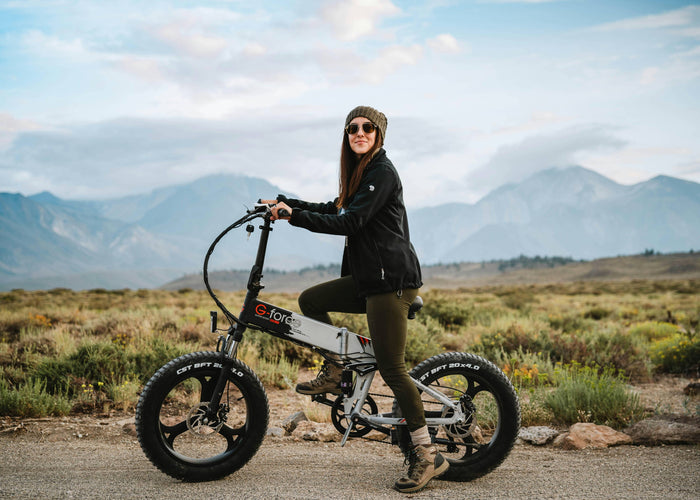 excelsior fahrrad online kaufen Trekking 28 Zoll, 7-Gang Shimano Nexus – e-bike boutique Option:Black*2 b1-road