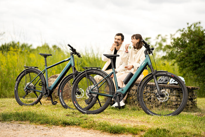 gazelle e bike display Avignon C380 HMB E-Bike Used | Refurbished Pirelli Fahrradschlauch Scorpion SmarTube tricoma-import Bosch Intuvia 100 mount Bosch Smart System (Size):35mm