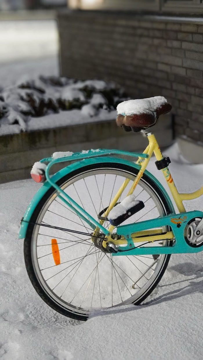 E-Bike im Winter draußen lassen: Was du wirklich wissen musst