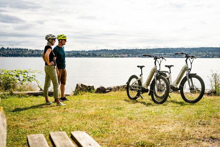 stärkstes e-bike fully Best hundred miles ebike | Fat tire 750W Electric Bike Cube Stereo Hybrid 140 Blutdruckregulation Style:EB26*2(Best Deals)