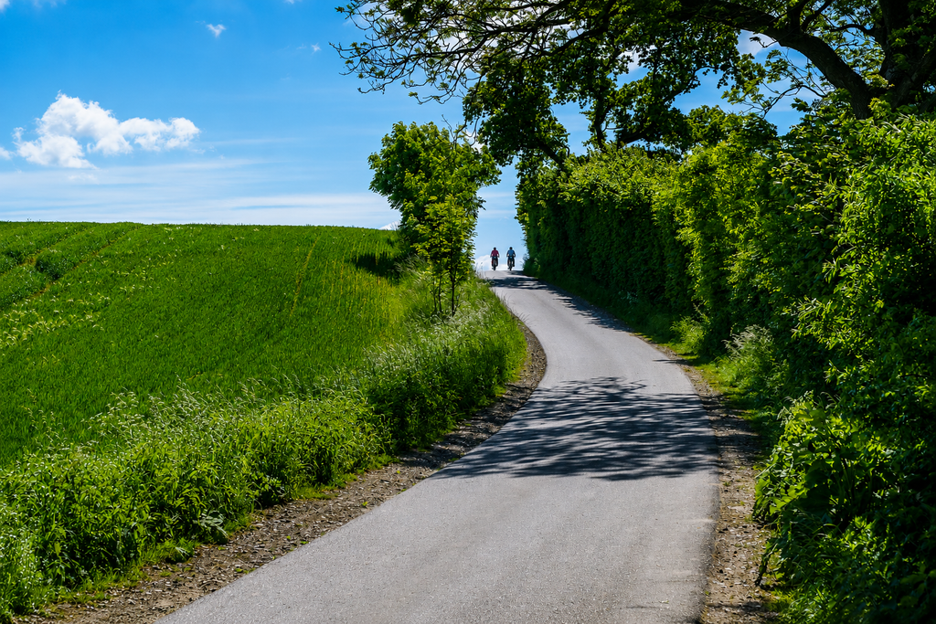 Ochsenweg Fahrradtour: Auf historischen Wegen von der Elbe bis nach Dänemark
