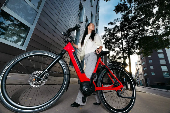 E-Bike Schiebehilfe: So funktioniert sie 2026