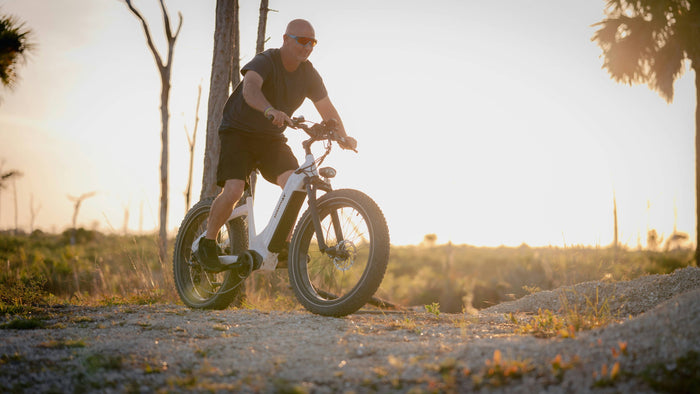 Die besten E-Mountainbikes 2026: Motoren, Modelle & Kauftipps