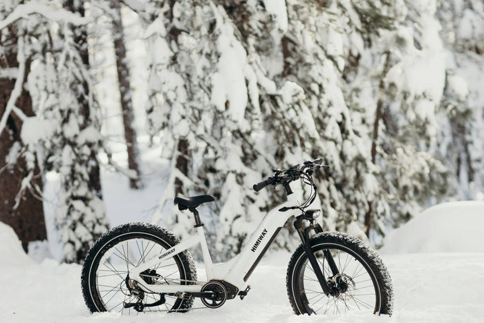 Sind Bafang E-Bike-Motoren gut? Der ehrliche Test