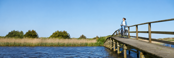 Unterwegs auf dem Nordsee-Radweg: Von Ostfriesland bis zur dänischen Grenze