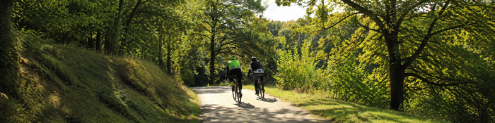 Rheinradweg: Die schönsten Etappen des EuroVelo 15 durch Deutschland