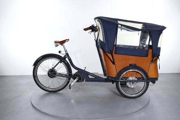 Babboe Curve Mountain E-Bike gebraucht